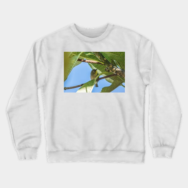 Japanese white-eye in Oahu’s Crewneck Sweatshirt by KensLensDesigns